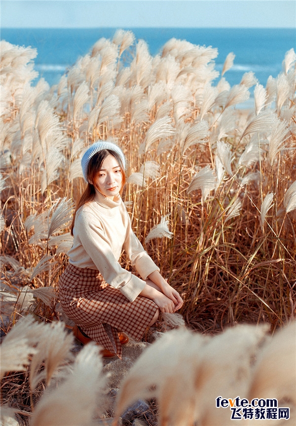 ps调出柔美深秋暖色调芦苇荡外景照片教程
