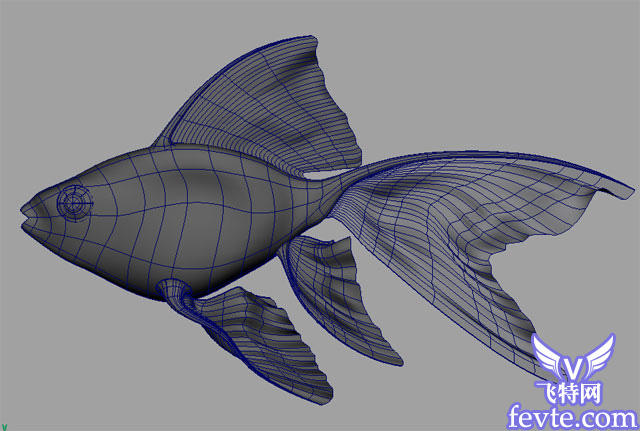 Maya 制作鱼的模型 飞特网 MAYA入门教程