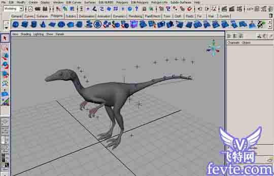 MAYA 7.0恐龙建模教程 飞特网 MAYA建模教程
