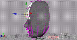Maya 脸部模型建造 飞特网 MAYA角色动画教程T6.GIF (16565 bytes)