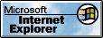 Internet Explorer的标志演变史 飞特网 标志设计IE 1.0 logo