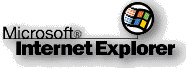 Internet Explorer的标志演变史 飞特网 标志设计IE 2.0 logo