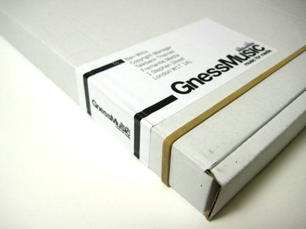 Gness Music VI手册 飞特网 VI设计