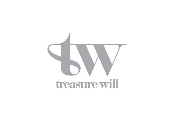 Treasure Will VI设计 飞特网