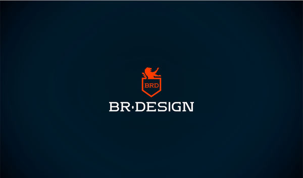 BR-Design品牌设计 飞特网 VI设计