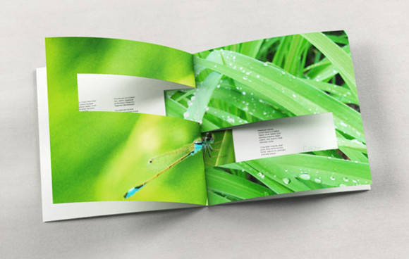 国外时尚创意小册子 飞特网 画册设计