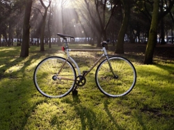 绿色环保的竹子自行车(Bamboocycle)设计欣赏