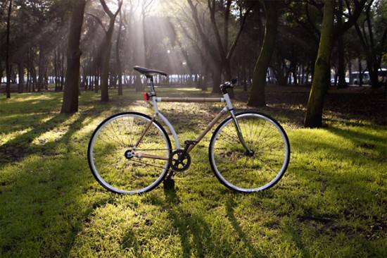 绿色环保的竹子自行车(Bamboocycle)设计欣赏 飞特网 工业设计