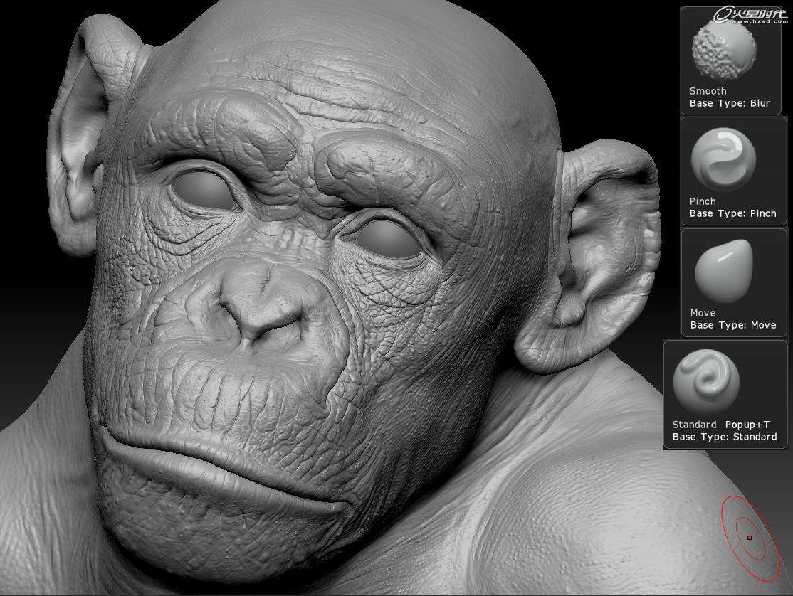 3DSMAX制作逼真黑猩猩 飞特网 3DSMAX渲染教程