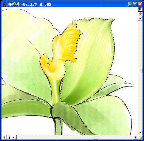 Painter绘制漂亮的花朵 飞特网 painter教程