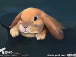 Painter绘制兔子插画