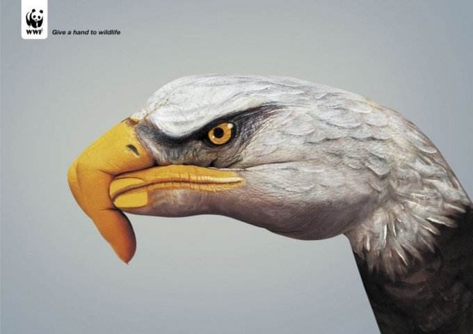优秀的野生动物wwf公益广告欣赏 飞特网 其他