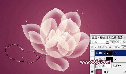 PS绘制漂亮透明效果花朵 飞特网  PS鼠绘教程