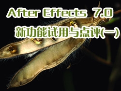 After Effects 7.0新功能试用与点评(一)