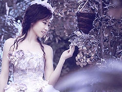 PS打造树林婚纱照浪漫蓝紫色调