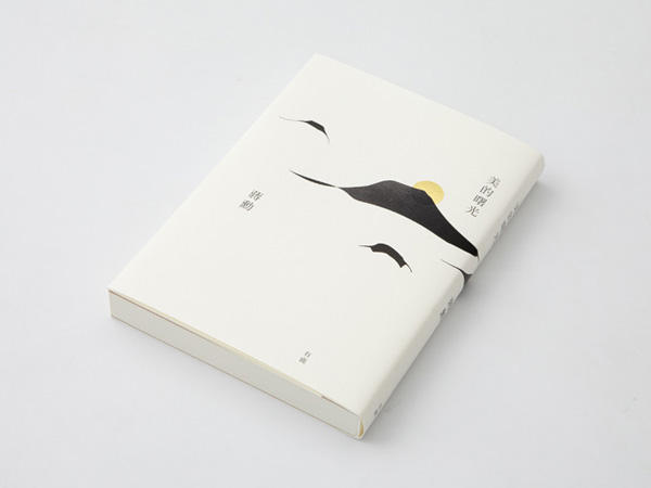 简洁色彩搭配画册设计欣赏 飞特网 画册设计