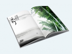 天竹生态服饰 经典画册设计 炙风堂画册设计案例欣赏