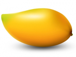 PS鼠绘超漂亮的芒果