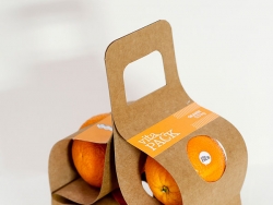 创意手提橙子包装