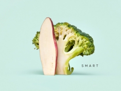 绿色食品公司品牌VI设计
