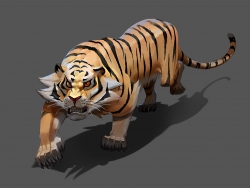 虎的画法研究