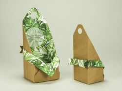 创意环保花卉包装设计