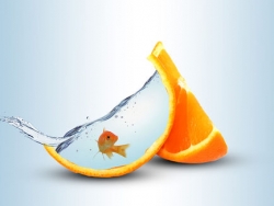 PS合成创意橘子鱼缸