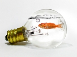 PS创意合成灯泡里的小鱼