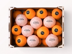 橙子庄园品牌VI设计