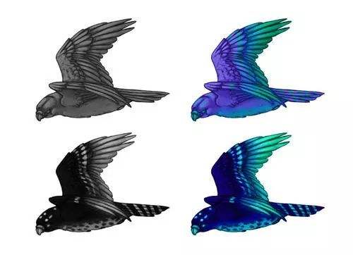7个快速提升板绘绘画的技巧 飞特网 设计理论