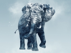 PS合成冰封的大象教程