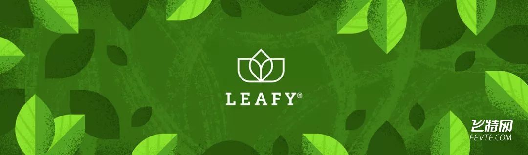 南非Leafy茶叶包装设计 飞特网 茶叶包装设计