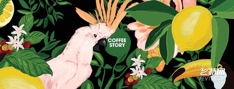 COFFEE STORY品牌标志设计 飞特网 LOGO设计