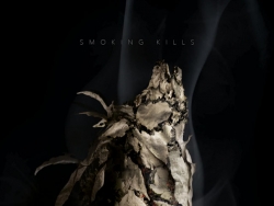 三张动物保护协会禁烟宣传海报设计