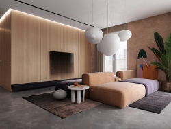 2套现代风格单身公寓室内设计