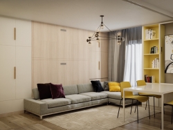 3套极简风格单身公寓设计