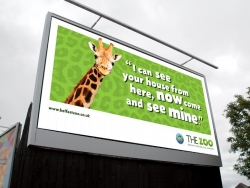 动物园T牌海报设计