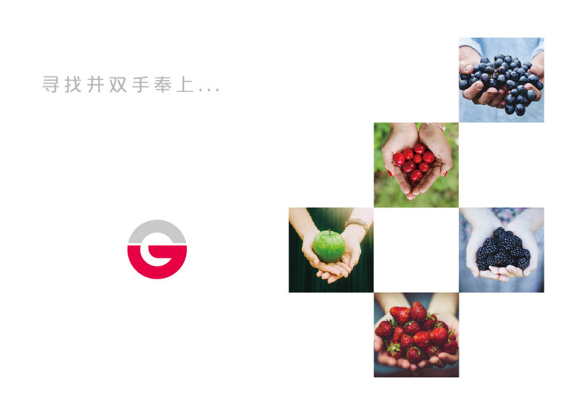 水果品牌logo设计 飞特网 标志设计