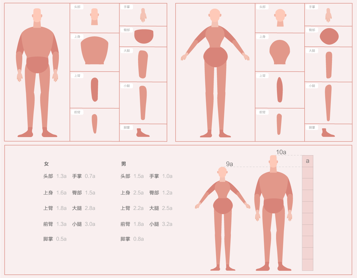 设计师该如何组件灵活的个人插画组件库 飞特网 UI设计教程