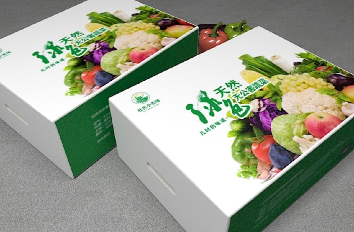 农庄蔬菜包装设计 飞特网会员原创日用品包装设计