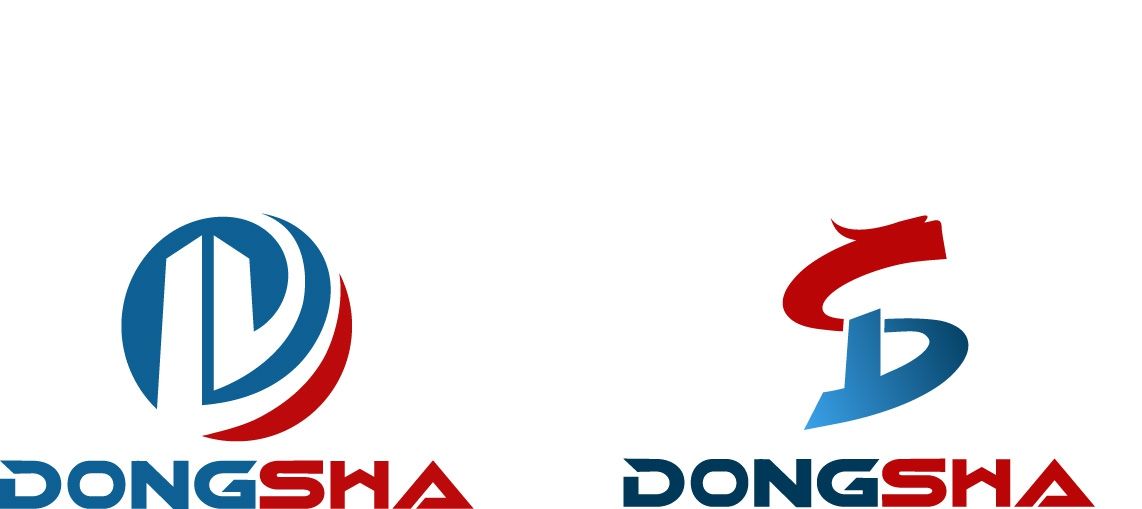 DS 组合logo设计 飞特网 会员原创标志设计