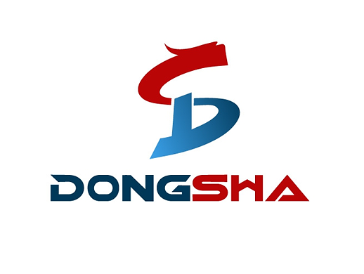 DS 组合logo设计
