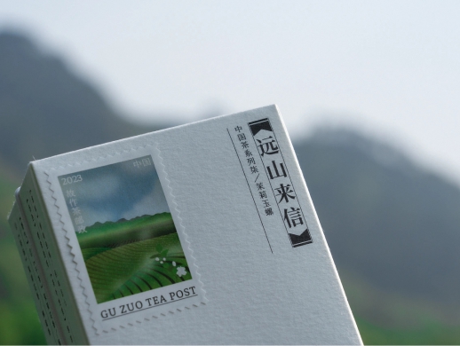 中国茶叶系列包装设计 茶叶礼盒