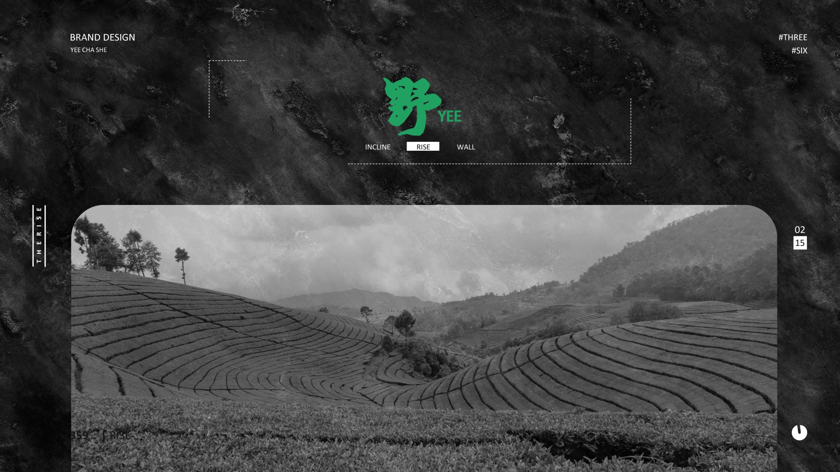 回归本真，野茶舍的自然之香